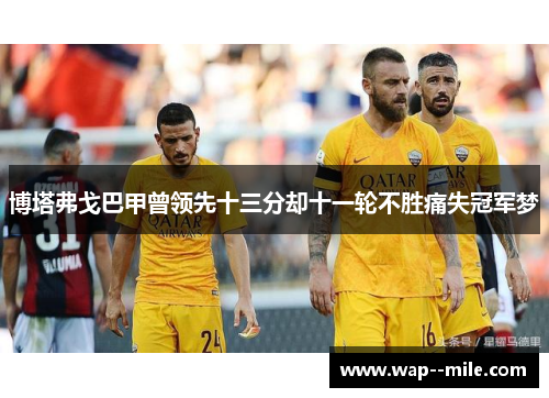 博塔弗戈巴甲曾领先十三分却十一轮不胜痛失冠军梦