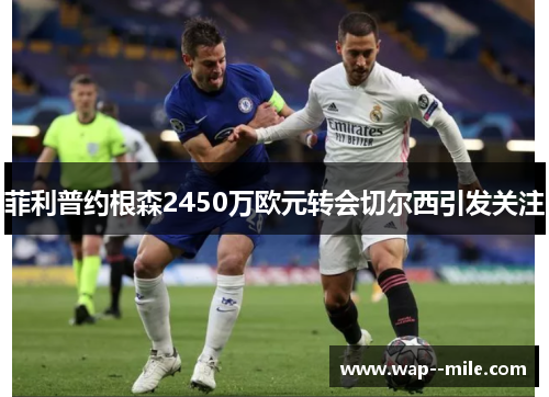 菲利普约根森2450万欧元转会切尔西引发关注 菲利普约根森2450万欧元转会切尔西引发关注