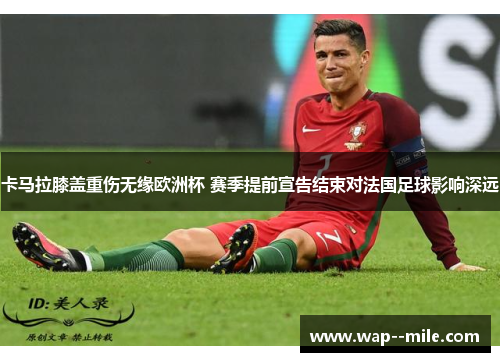 卡马拉膝盖重伤无缘欧洲杯 赛季提前宣告结束对法国足球影响深远
