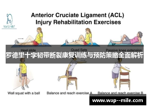 罗德里十字韧带断裂康复训练与预防策略全面解析