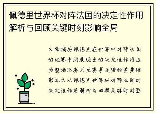 佩德里世界杯对阵法国的决定性作用解析与回顾关键时刻影响全局